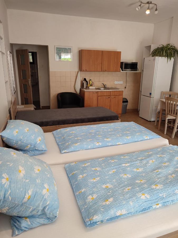 Appartamento Pension Dana Karaskova Kutná Hora Esterno foto