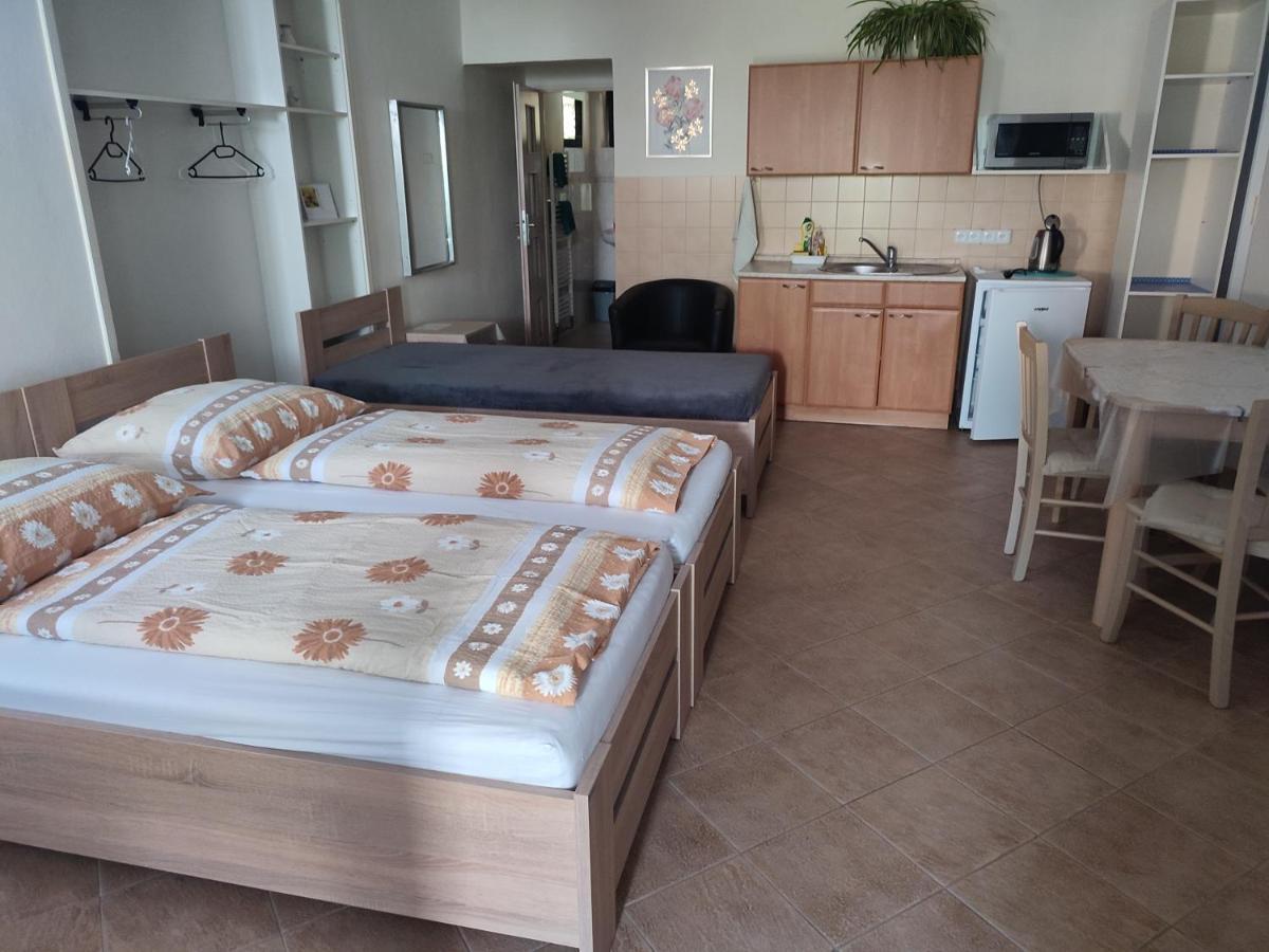 Appartamento Pension Dana Karaskova Kutná Hora Esterno foto