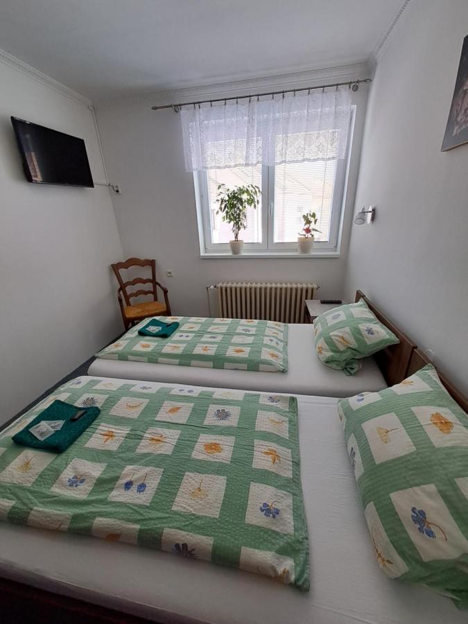 Appartamento Pension Dana Karaskova Kutná Hora Esterno foto