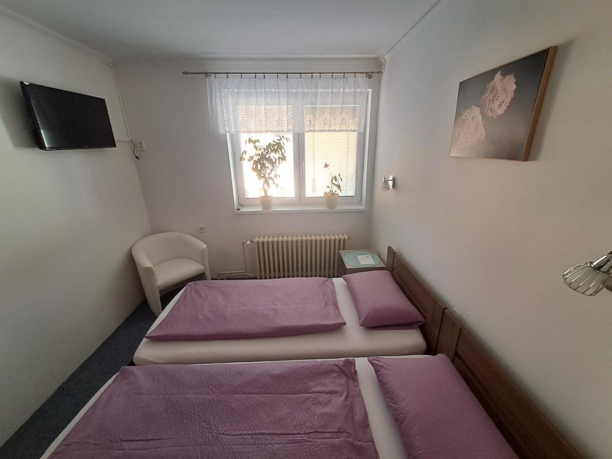 Appartamento Pension Dana Karaskova Kutná Hora Esterno foto